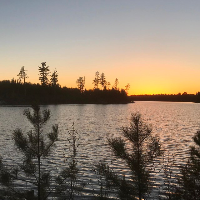 Sunset behind trees and lake in front of trees