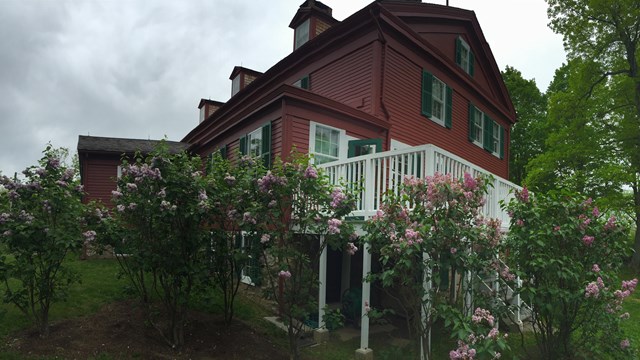 A red house with a white back porch with lilacs in front of it.