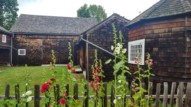 A wooden fence line and flowers with a wood paneling barn in the background.
