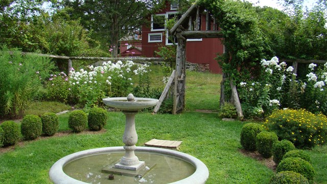 A water fountain with several green shrubs around it.