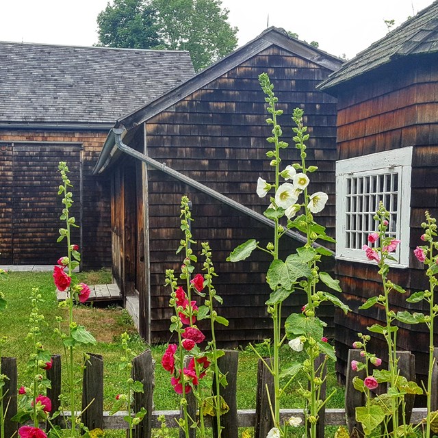 A series of old buildings with wood shingles behind a fence and flowers.