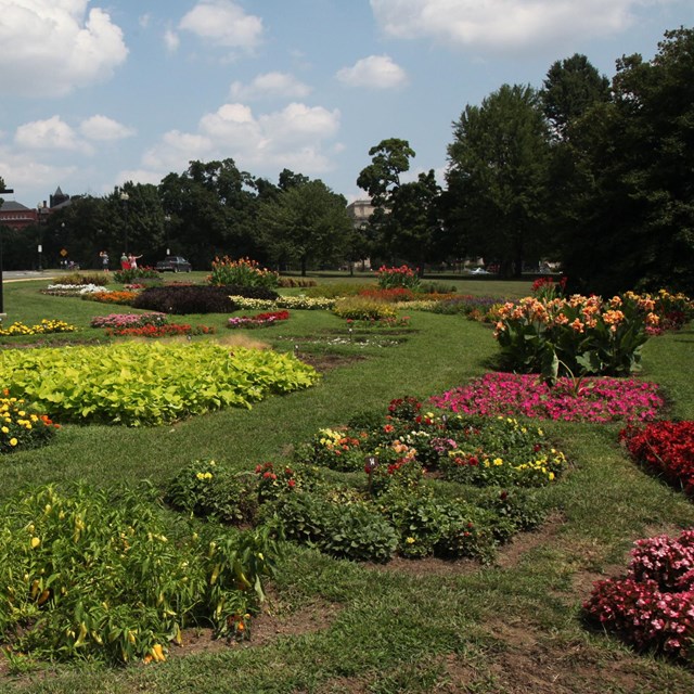 Scenic shot of flowers planted at President's Park Floral Library. 