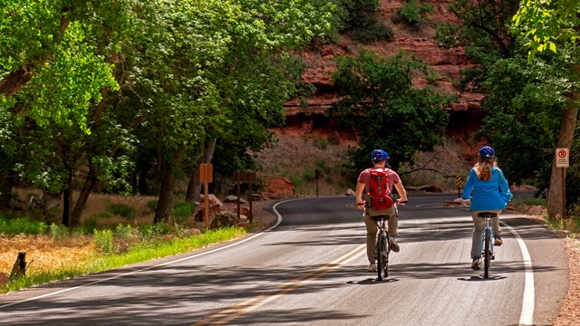 Two bikers on a road surrounded by trees and red rock.