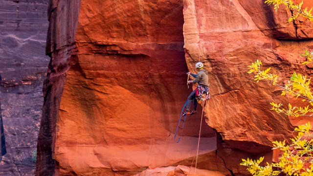 A climber on a sheer red cliff face.