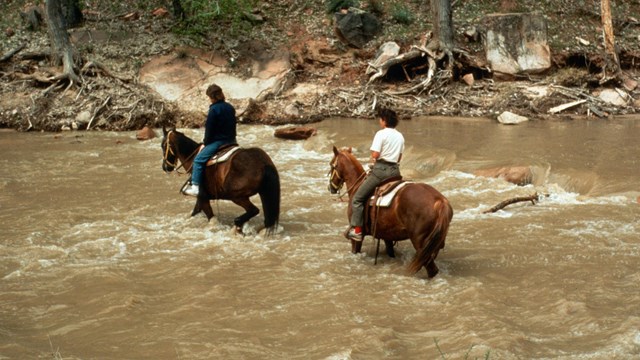 Two horses, with riders, cross a river.