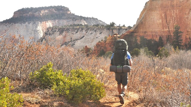 A backpacker walks on a trail, heading towards white sandstone formations.