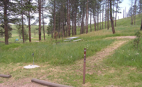 Campsite in Elk Mountain Campground Campsite in Elk Mountain Campground