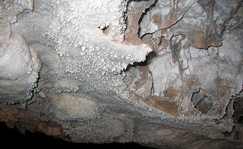 Popcorn is seen along the Garden of Eden Cave Tour Popcorn is seen along the Garden of Eden Cave Tour