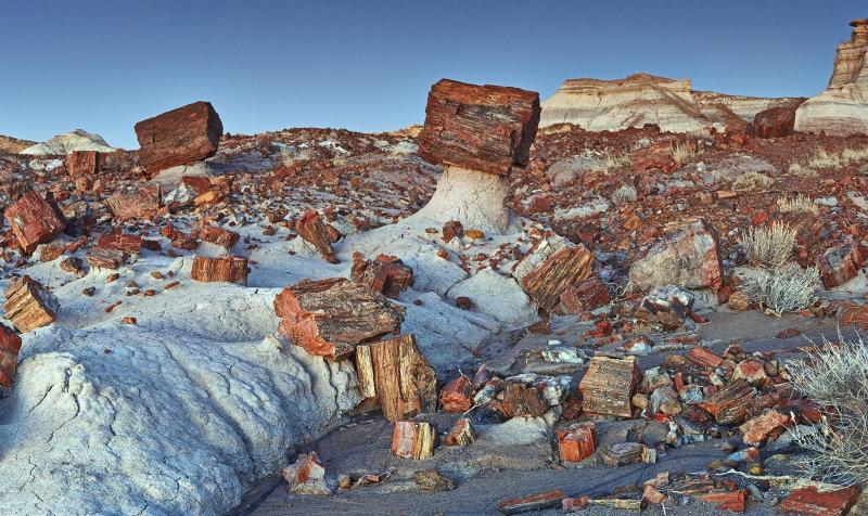 Scenics - Jasper Forest Pedestal Logs