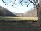 First field
