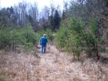 Overlook Trail