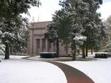 Winter in the park