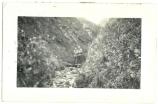 historic photo of two men in a narrow ravine