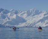 Ocean Kayakers