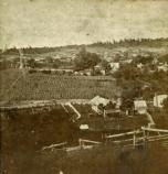 Greeneville