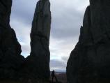 Serpentine Silhoutte