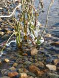Signs of Winter