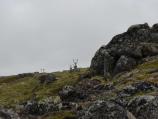 Distant Caribou and Serpentine Tors