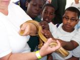 BioBlitz010
