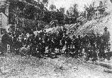 Worley Miners