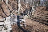 Split rails were used for fencing back in the days when No Business was an active community.