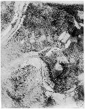 Aerial Photo of No Business - 1925