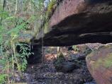 Cooperhead Arch