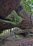 Double Arch