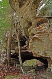 Zenith Arch