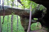 Unnamed Arch