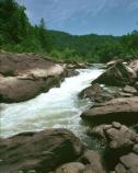 Angel Falls Rapids