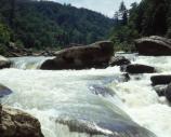 Doulble Falls Rapids