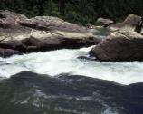 Angel Falls Rapids