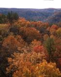 Middle Creek Overlook