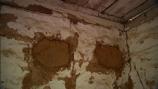 Bousillage in wall of the Cook's cabin