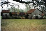 chicken coops- before