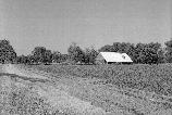 Gin Barn at Magnolia