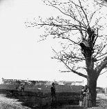 The Front Green circa 1880