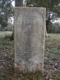 The Cenotaph