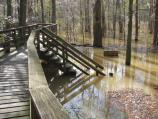 Picture of the Elevated Boardwalk (near trailhead) during a flood event in January 2007.