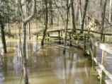 Low Boardwalk Flooded