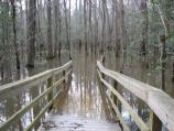 First Bench on Low Boardwalk Flooded