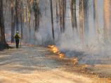 Fire Break
