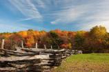 fall colors and fence