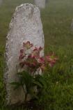 headstone at Hensley cemetery