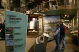 Lower Exhibit Area