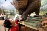A young visitor checks out the exhibits at the Denali Visitor Center