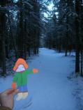 Flat Stanley