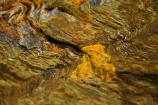Geology
