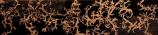 Lichen Study, Sara Tabbert, 2008. Materials: Carved basswood